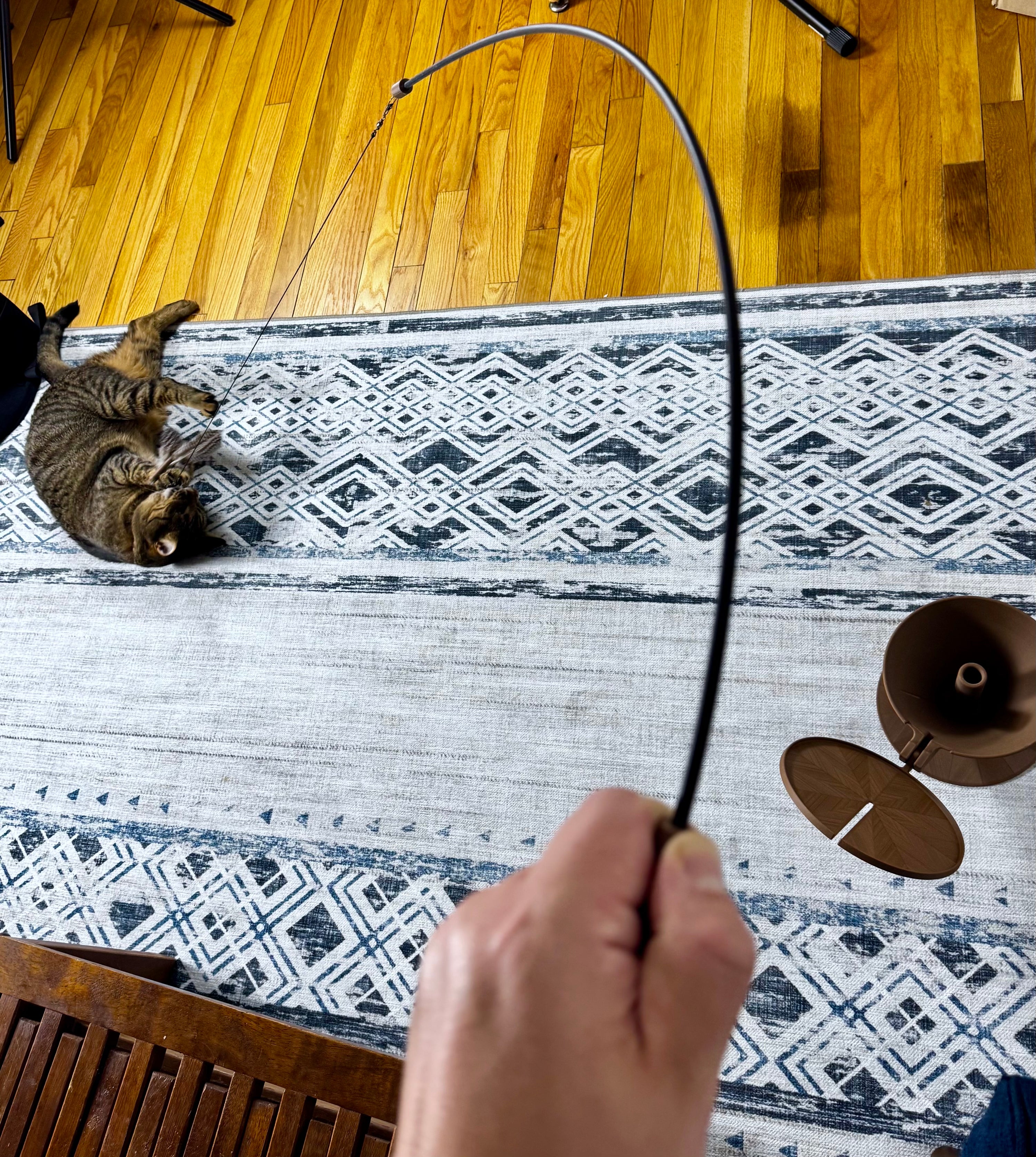 Interactive Cat Wand Toy with Hideaway Stand